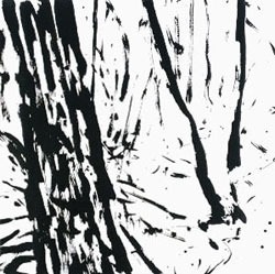 Forest Ground 7