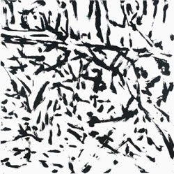 Forest Ground 10