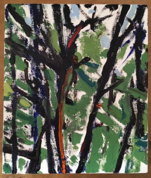 Stehekin Study #3