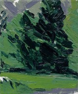 Stehekin Study #6