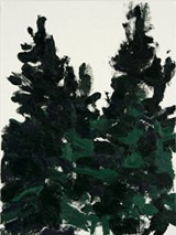Doug Fir Moment #1